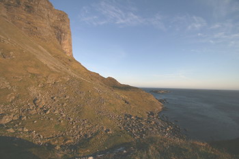 Puffin Colony